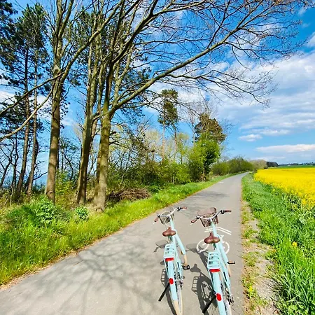 Summer Camp 펜션 사르비노보