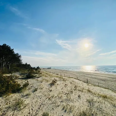 Summer Camp 사르비노보